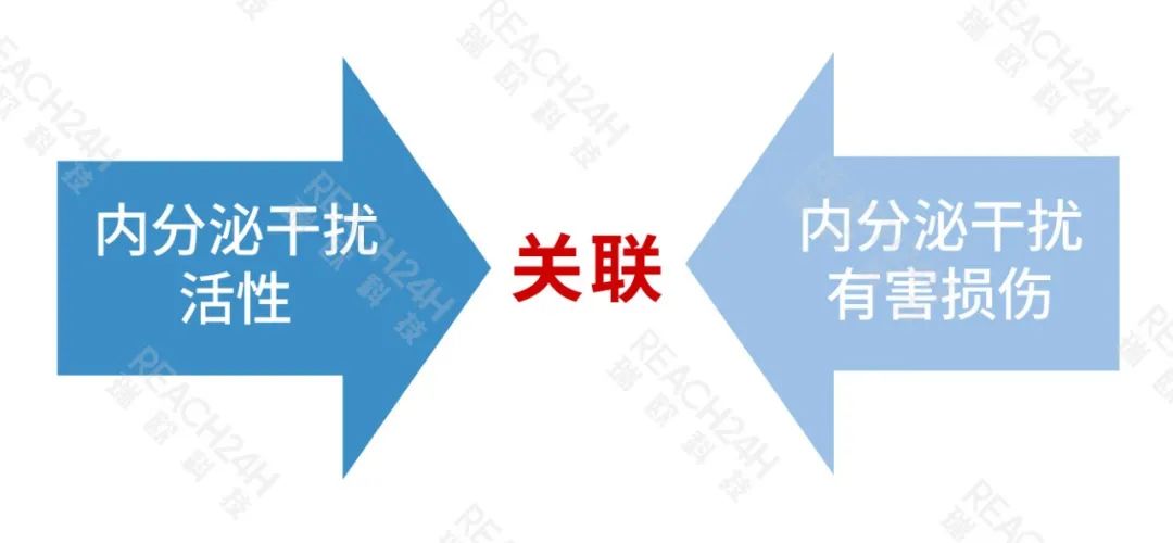 1瑞歐.jpeg